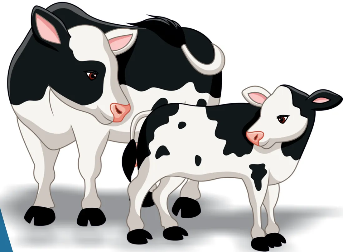 Illustration of a cow with her calf