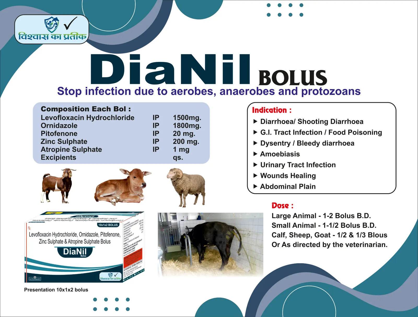 Catalogue page 30: DiaNil Bolus
