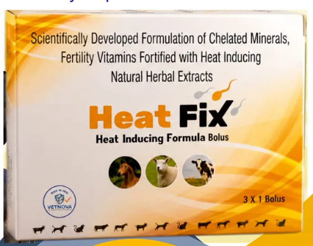Heat Fix Bolus pack