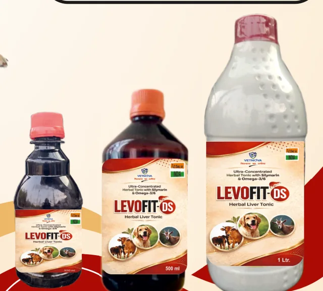 Levofit-DS pack